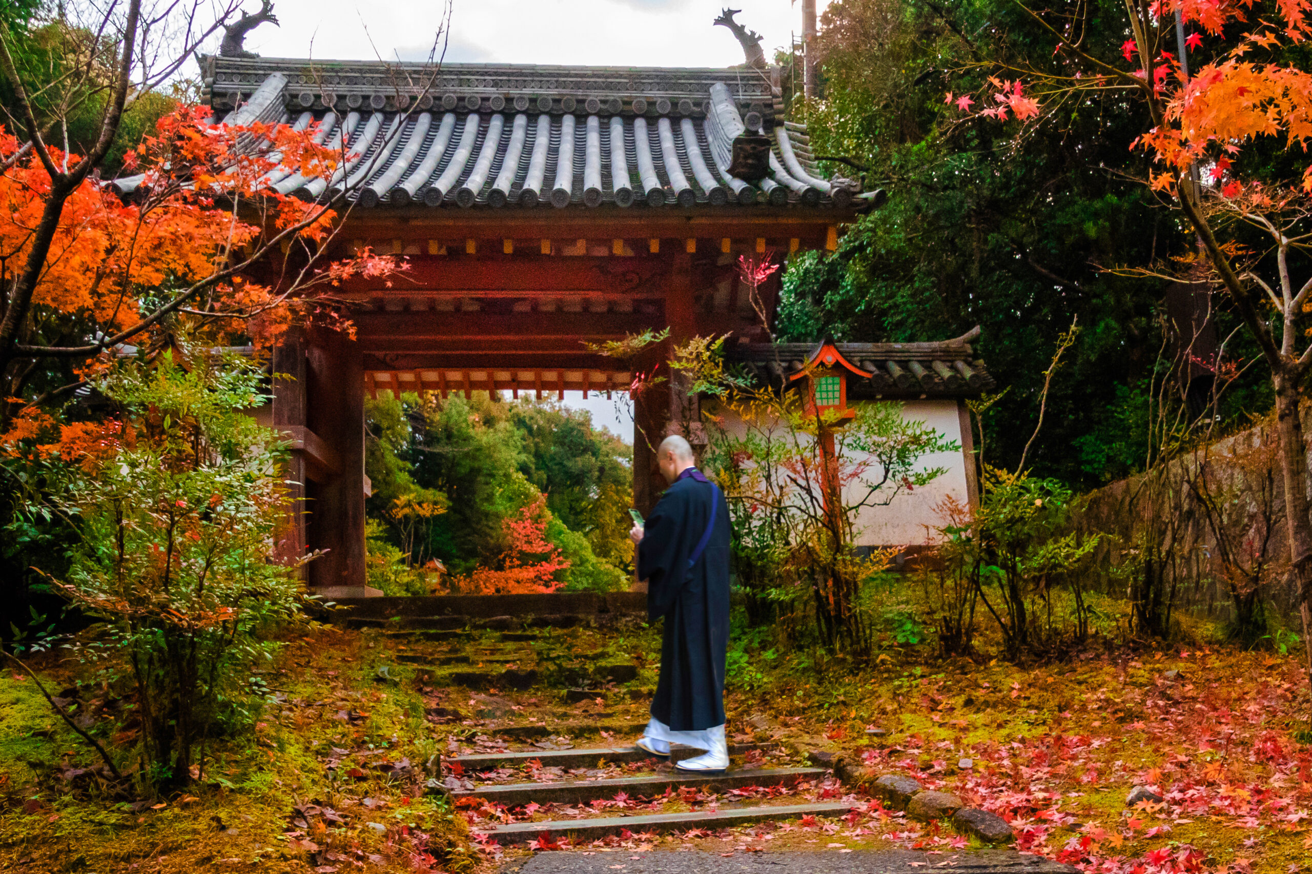 木津川市観光協会|京都|海住山寺-スポット:文化財