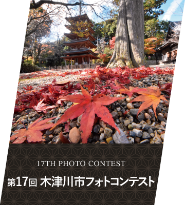 第17回木津川市フォトコンテスト