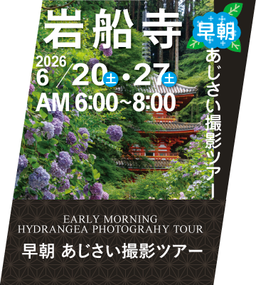 岩船寺　早朝あじさい撮影ツアー
